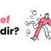 brief nedir