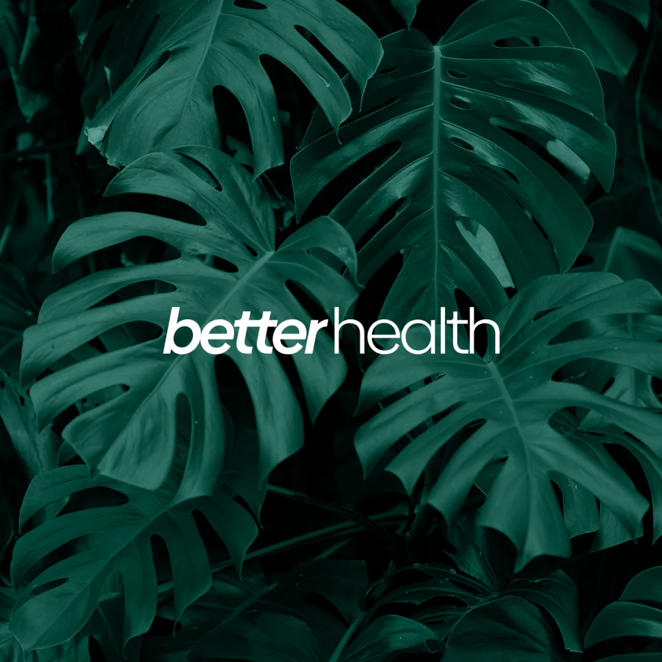 İşler 26 better-health