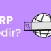 serp-nedir