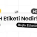 h-etiketleri